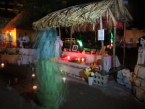 IMG_3183